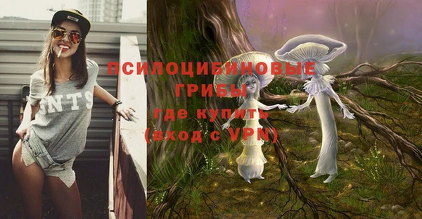 ешки Баксан