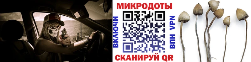 цена наркотик  Пущино  Галлюциногенные грибы MAGIC MUSHROOMS 